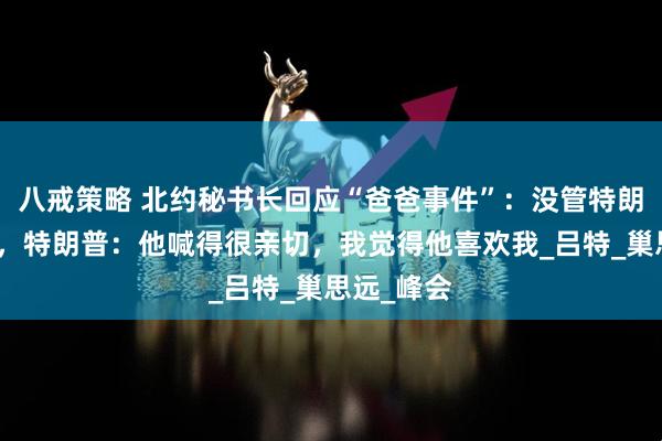 八戒策略 北约秘书长回应“爸爸事件”：没管特朗普叫爸爸，特朗普：他喊得很亲切，我觉得他喜欢我_吕特_巢思远_峰会